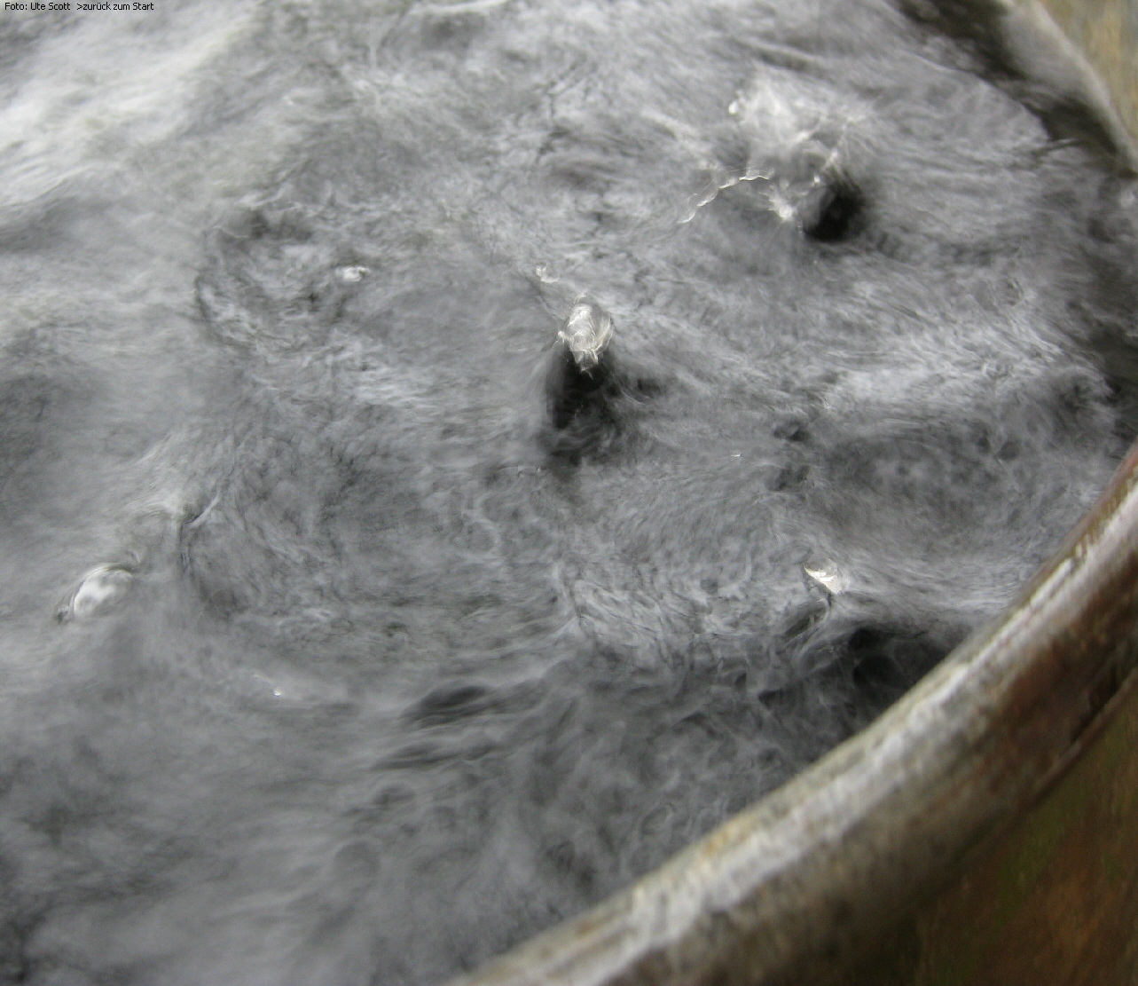 Foto: Ute Scott  >zur�ck zum Start